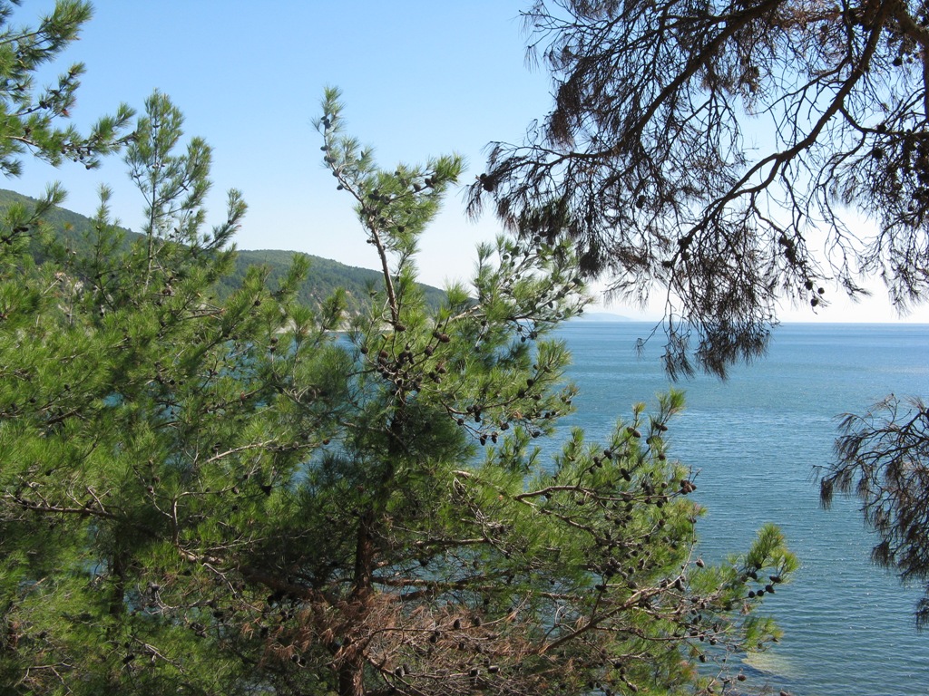 Бетта, Краснодарсский край - Официальный сайт хутора Бетта - http://EnjoyBetta.com - Пляжи краснодарского края